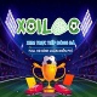 dabongxoilactv